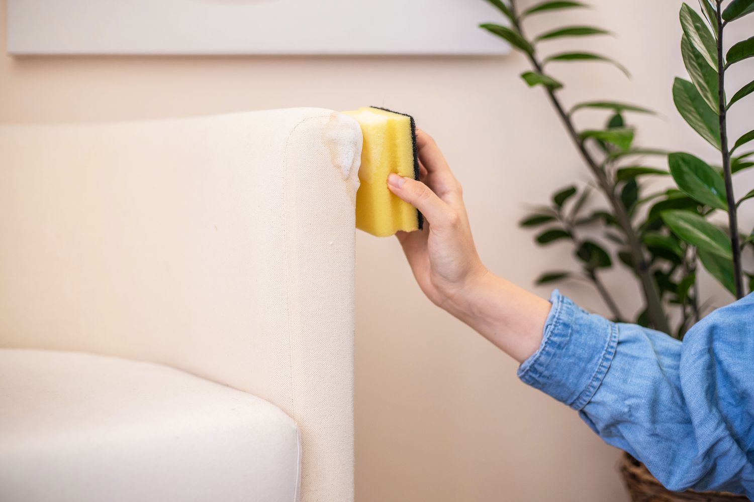 Professionele reiniging van stoffen stoelen in Eindhoven aan huis